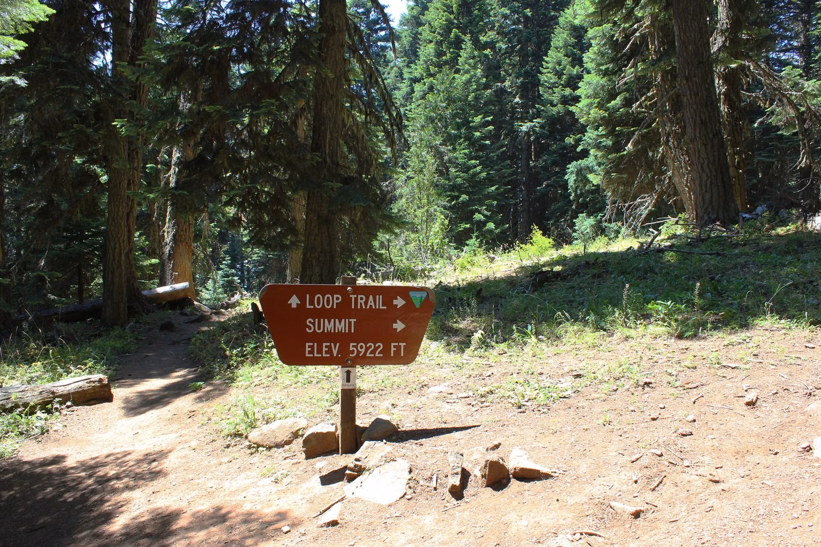 A trailhead in a Pacific Northwest forest