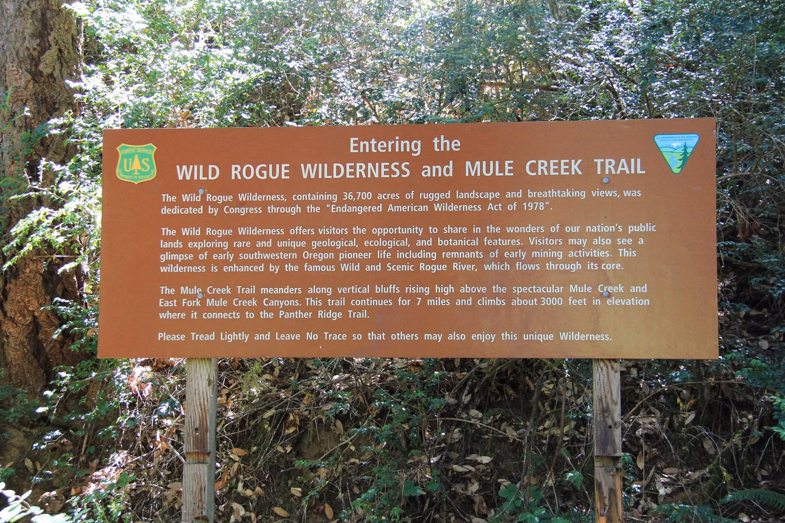 A trailhead at the edge of a forest