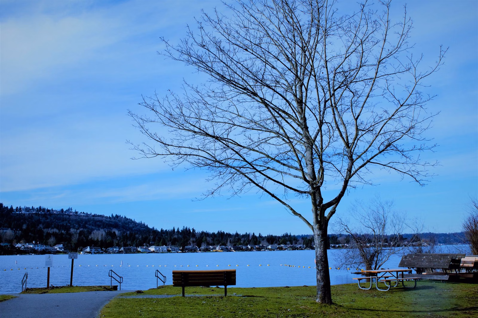 Lake Sammamish State Park lawn and lake on a clear day